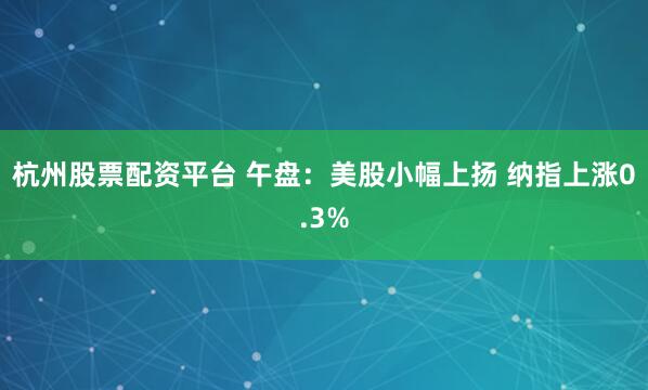 杭州股票配资平台 午盘：美股小幅上扬 纳指上涨0.3%