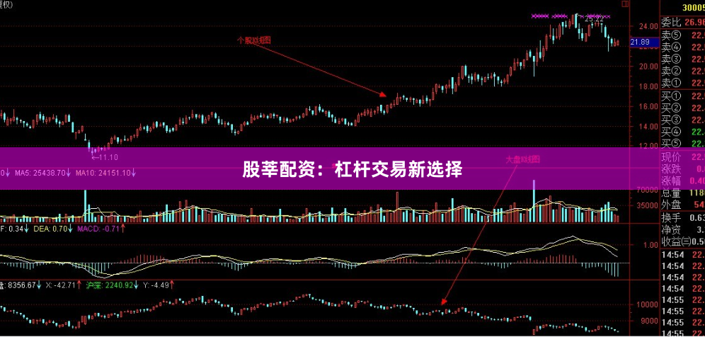 股莘配资：杠杆交易新选择